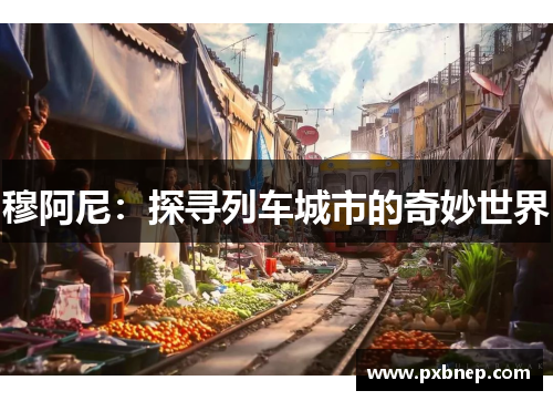 穆阿尼：探寻列车城市的奇妙世界